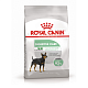 Royal Canin Mini Digestive сухой корм для собак мелких пород с чувствительным пищеварением