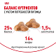 Royal Canin Pug Adult сухой корм для взрослых собак породы мопс