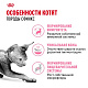 Royal Canin Sphynx Kitten сухой корм для котят породы сфинкс