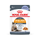 Royal Canin Hair & Skin Care влажный корм для взрослых кошек для здоровья кожи и красоты шерсти, желе