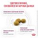 Royal Canin Renal сухой корм для кошек для поддержания функции почек