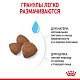 Royal Canin Medium Starter сухой корм для щенков средних пород до 2мес.