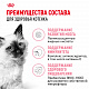 Royal Canin Kitten сухой корм для котят до 12 месяцев