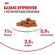 Royal Canin Maine Coon Kitten влажный корм для котят мейн-кунов, соус