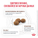 Royal Canin Gastrointestinal сухой корм для собак при нарушениях пищеварения