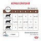 Royal Canin Gastrointestinal Роял Канин влажный корм для кошек при нарушении пищеварения, соус