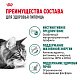 Royal Canin Instinctive 7+ влажный корм для взрослых кошек старше 7 лет, соус