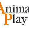 Animal Play